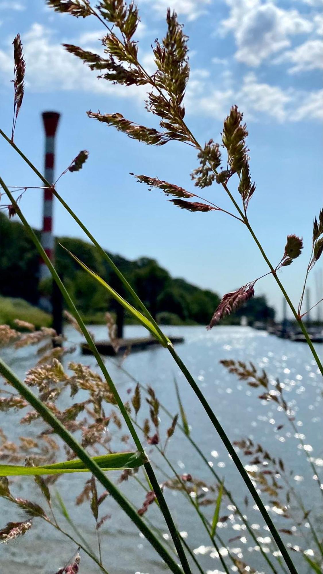 Fischerhaus Blankenese Hamburg Ngoại thất bức ảnh