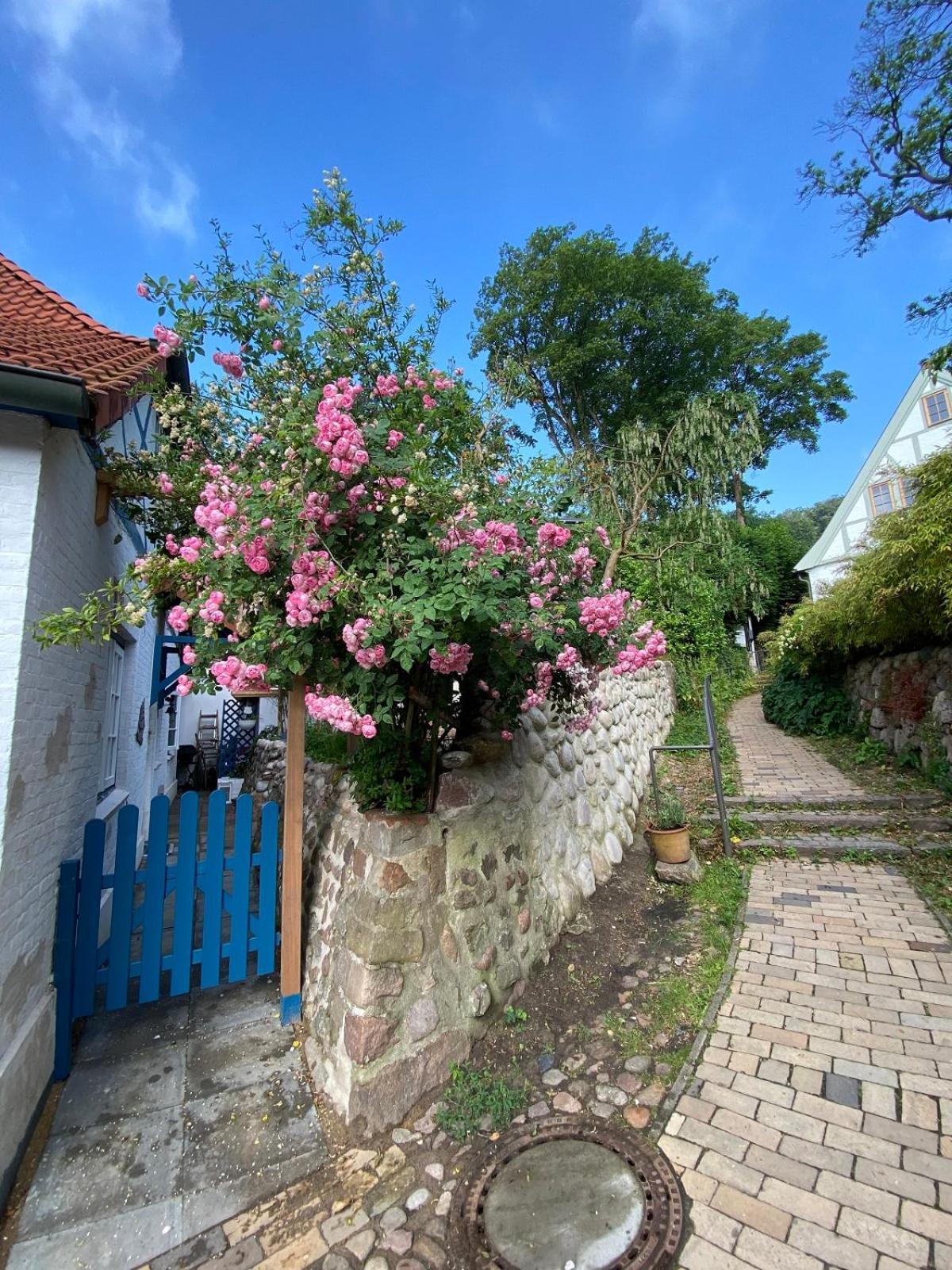 Fischerhaus Blankenese Hamburg Ngoại thất bức ảnh